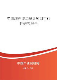 中國(guó)超聲波流量計(jì)項(xiàng)目可行性研究報(bào)告