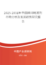 2025-2031年中國瞬間堵漏劑市場分析及發(fā)展趨勢研究報(bào)告