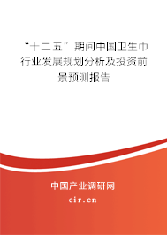 “十二五”期間中國衛(wèi)生巾行業(yè)發(fā)展規(guī)劃分析及投資前景預測報告