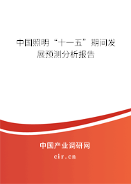 中國照明“十一五”期間發(fā)展預(yù)測分析報(bào)告
