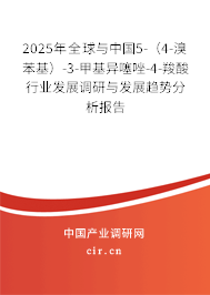 2025年全球與中國5-（4-溴苯基）-3-甲基異噻唑-4-羧酸行業(yè)發(fā)展調(diào)研與發(fā)展趨勢分析報告