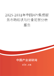 2025-2031年中國API集成服務(wù)市場(chǎng)現(xiàn)狀與行業(yè)前景分析報(bào)告