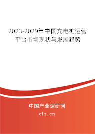 2023-2029年中國充電樁運(yùn)營平臺市場現(xiàn)狀與發(fā)展趨勢