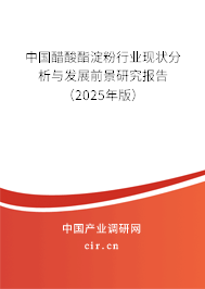中國醋酸酯淀粉行業(yè)現狀分析與發(fā)展前景研究報告（2025年版）