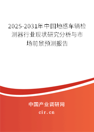 2025-2031年中國地感車輛檢測器行業(yè)現(xiàn)狀研究分析與市場前景預(yù)測報(bào)告