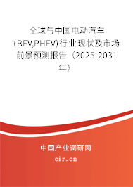 全球與中國電動汽車(BEV,PHEV)行業(yè)現(xiàn)狀及市場前景預(yù)測報告（2025-2031年）