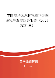 中國電動蒸汽拖把市場調(diào)查研究與發(fā)展趨勢報告（2025-2031年）