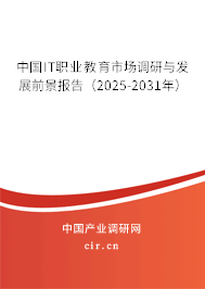 中國(guó)IT職業(yè)教育市場(chǎng)調(diào)研與發(fā)展前景報(bào)告（2025-2031年）