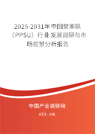 2025-2031年中國聚苯砜（PPSU）行業(yè)發(fā)展調(diào)研與市場前景分析報(bào)告