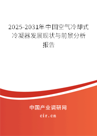 2025-2031年中國空氣冷卻式冷凝器發(fā)展現(xiàn)狀與前景分析報告