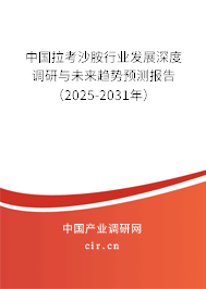 中國拉考沙胺行業(yè)發(fā)展深度調(diào)研與未來趨勢(shì)預(yù)測報(bào)告（2025-2031年）