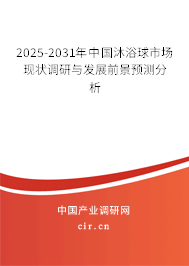 2025-2031年中國沐浴球市場現(xiàn)狀調(diào)研與發(fā)展前景預(yù)測分析