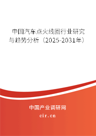 中國汽車點火線圈行業(yè)研究與趨勢分析（2025-2031年）