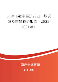 天津市數(shù)字經(jīng)濟行業(yè)市場調(diào)研及前景趨勢報告（2025-2031年）