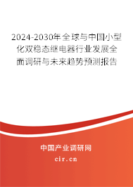 2024-2030年全球與中國(guó)小型化雙穩(wěn)態(tài)繼電器行業(yè)發(fā)展全面調(diào)研與未來(lái)趨勢(shì)預(yù)測(cè)報(bào)告