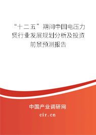“十二五”期間中國(guó)電壓力煲行業(yè)發(fā)展規(guī)劃分析及投資前景預(yù)測(cè)報(bào)告