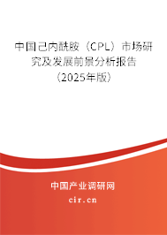 中國己內(nèi)酰胺（CPL）市場研究及發(fā)展前景分析報告（2025年版）