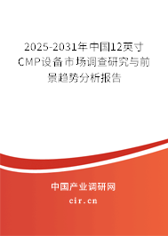 2025-2031年中國(guó)12英寸CMP設(shè)備市場(chǎng)調(diào)查研究與前景趨勢(shì)分析報(bào)告