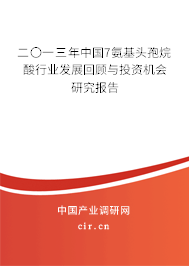 二〇一三年中國7氨基頭孢烷酸行業(yè)發(fā)展回顧與投資機(jī)會(huì)研究報(bào)告