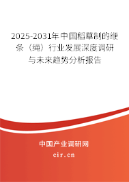 2025-2031年中國稻草制的緶條（繩）行業(yè)發(fā)展深度調(diào)研與未來趨勢分析報告