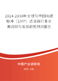 2024-2030年全球與中國電磁脈沖（EMP）濾波器行業(yè)全面調(diào)研與發(fā)展趨勢預測報告