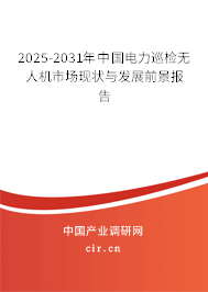 2024-2030年中國電力巡檢無人機(jī)市場現(xiàn)狀與發(fā)展前景報告