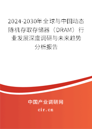 2024-2030年全球與中國動態(tài)隨機(jī)存取存儲器（DRAM）行業(yè)發(fā)展深度調(diào)研與未來趨勢分析報告