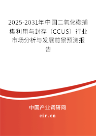 （最新）中國(guó)二氧化碳捕集利用與封存（CCUS）行業(yè)市場(chǎng)分析與發(fā)展前景預(yù)測(cè)報(bào)告