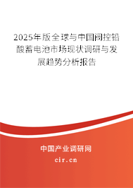 2025年版全球與中國閥控鉛酸蓄電池市場現(xiàn)狀調研與發(fā)展趨勢分析報告