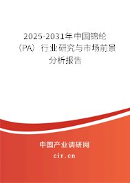 2025-2031年中國錦綸（PA）行業(yè)研究與市場前景分析報告