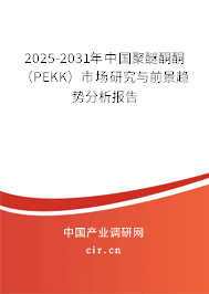 2025-2031年中國(guó)聚醚酮酮（PEKK）市場(chǎng)研究與前景趨勢(shì)分析報(bào)告