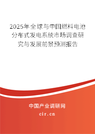 2025年全球與中國(guó)燃料電池分布式發(fā)電系統(tǒng)市場(chǎng)調(diào)查研究與發(fā)展前景預(yù)測(cè)報(bào)告