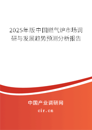 2025年版中國燃氣爐市場調(diào)研與發(fā)展趨勢預(yù)測分析報告