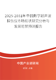 2025-2031年中國數(shù)字超聲波探傷儀市場現(xiàn)狀研究分析與發(fā)展前景預測報告