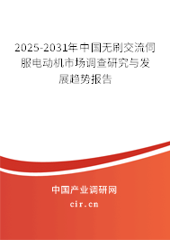 2025-2031年中國無刷交流伺服電動機(jī)市場調(diào)查研究與發(fā)展趨勢報告
