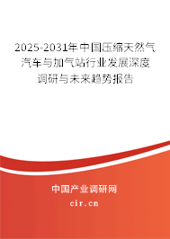 2025-2031年中國壓縮天然氣汽車與加氣站行業(yè)發(fā)展深度調(diào)研與未來趨勢報告