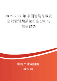 2025-2031年中國智能車載安全駕駛輔助系統(tǒng)行業(yè)分析與前景趨勢