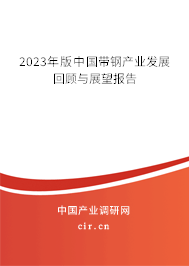 2023年版中國帶鋼產(chǎn)業(yè)發(fā)展回顧與展望報告