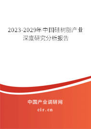2023-2029年中國硅樹脂產(chǎn)業(yè)深度研究分析報(bào)告