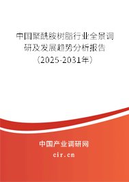 中國聚酰胺樹脂行業(yè)全景調(diào)研及發(fā)展趨勢分析報告（2025-2031年）
