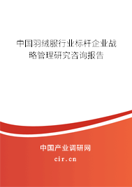 中國羽絨服行業(yè)標(biāo)桿企業(yè)戰(zhàn)略管理研究咨詢報告