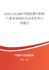 2025-2031年中國根痛平顆粒行業(yè)發(fā)展回顧及未來走勢分析報告