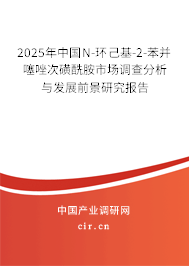 2025年中國N-環(huán)己基-2-苯并噻唑次磺酰胺市場調(diào)查分析與發(fā)展前景研究報(bào)告