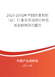 2025-2031年中國商業(yè)智能（BI）行業(yè)現(xiàn)狀調(diào)研分析及發(fā)展趨勢研究報告