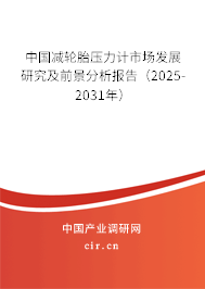 中國(guó)減輪胎壓力計(jì)市場(chǎng)發(fā)展研究及前景分析報(bào)告（2025-2031年）