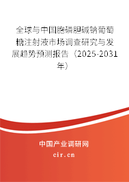 全球與中國胞磷膽堿鈉葡萄糖注射液市場調(diào)查研究與發(fā)展趨勢預(yù)測報(bào)告（2025-2031年）