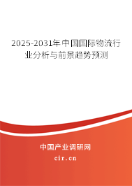 2025-2031年中國國際物流行業(yè)分析與前景趨勢預(yù)測