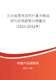 河北合成洗滌劑行業(yè)市場(chǎng)調(diào)研與前景趨勢(shì)分析報(bào)告（2025-2031年）