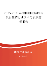 2025-2031年中國肼或胲的有機衍生物行業(yè)調研與發(fā)展前景報告