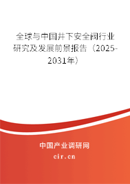 全球與中國(guó)井下安全閥行業(yè)研究及發(fā)展前景報(bào)告（2025-2031年）
